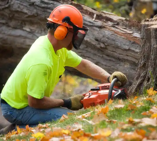 tree services Tyrone